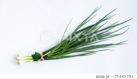 Spring onion on white background. 75345791