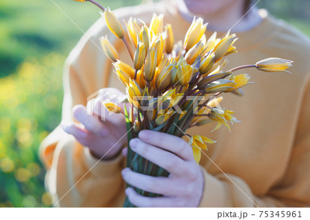 girl holding a bouquet of tulips girl holding a bouquet of tulips 75345961