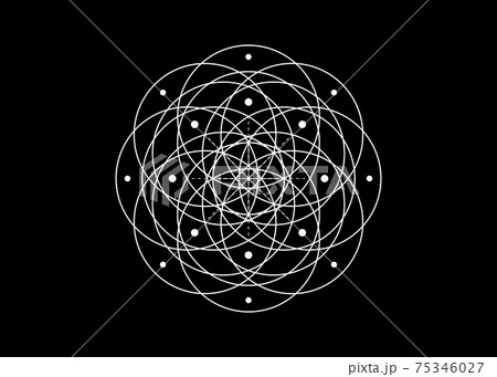 Geometric mystic mandala, Sacred Geometry. Seed of life symbol, alchemy esoteric Flower of Life. Vector white line art circles sign divine meditative amulet isolated on black background 75346027