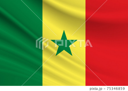 Flag of Senegal. Fabric texture of the flag of Senegal Flag of Senegal. Fabric texture of the flag of Senegal 75346859