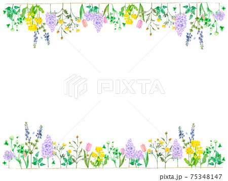 春の優しい色使いのオシャレな植物やお花の白バックのイラストのイラスト素材