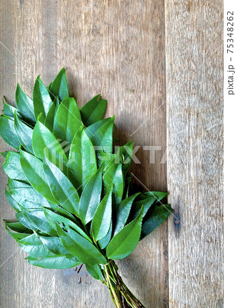 木の板にのせた榊の束 木の板にのせた榊の束 75348262