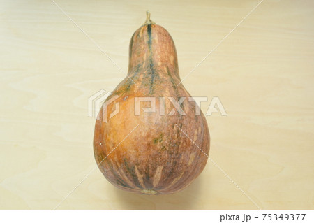 島かぼちゃ (Okinawa) 島かぼちゃ (Okinawa) 75349377