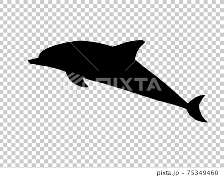 イルカのシルエットイラストのイラスト素材