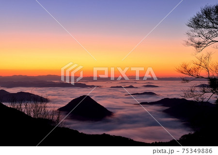 大江山からの福知山盆地の雲海 75349886
