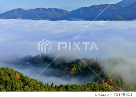 亀岡盆地の雲海 亀岡盆地の雲海 75349913