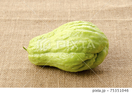 ハヤトウリ ハヤトウリ 75351046