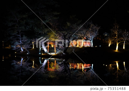 夜の奈良の東大寺大仏殿前の鏡池の写真素材 [75351488] - PIXTA