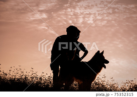 German shepherd dog and the master in the grass field in the evening silhouette photograph from a ground-level low angle. 75352315