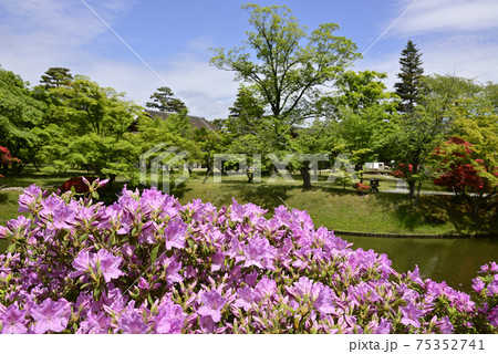 桂離宮 初夏の池泉回遊式庭園 桂離宮 初夏の池泉回遊式庭園 75352741