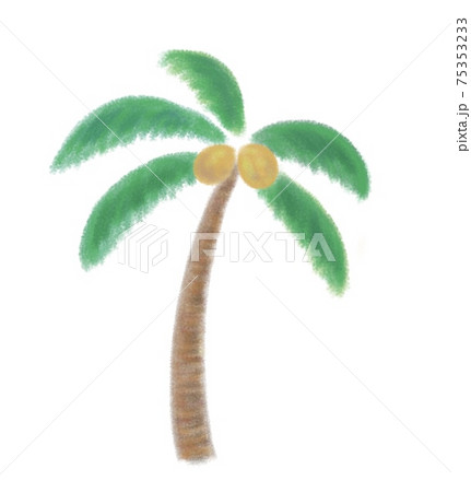 椰子の木の手描きイラストのイラスト素材