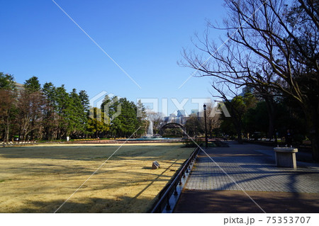 日比谷公園 75353707