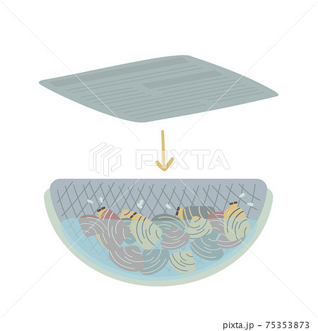 あさりの砂抜き あさりの砂抜き 75353873