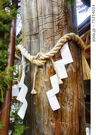 音羽山清水寺内の地主神社にある丑の刻まいりに使われた いのり杉 と五寸釘の穴の写真素材