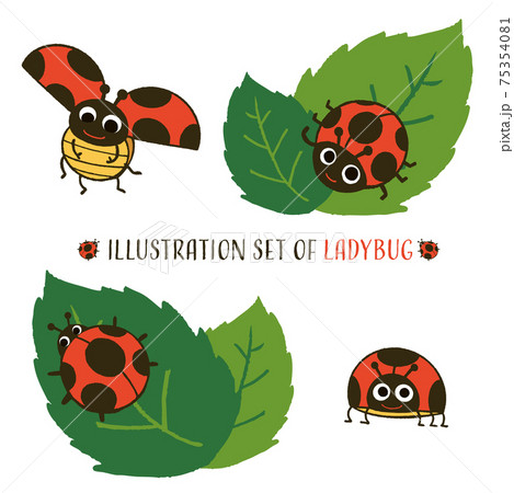 テントウムシのイラストセット 75354081
