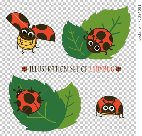 テントウムシのイラストセット 75354081