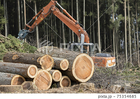 森林伐採 山を切り開くイメージの写真素材