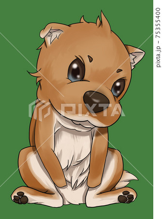 幼く座り込む子犬 幼く座り込む子犬 75355400
