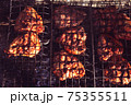 Grilled chicken. Chicken kebab outdoors 75355511