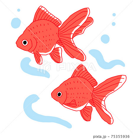 金魚が泳いでいる夏イメージのイラストのイラスト素材
