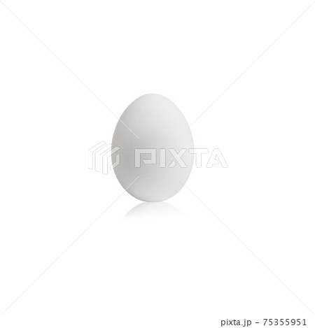 one white egg on white background one white egg on white background 75355951