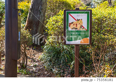 野良猫　餌やり 75356181