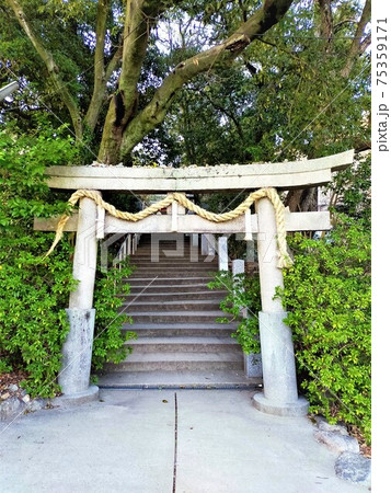 岡本八幡神社 岡本八幡神社 75359171
