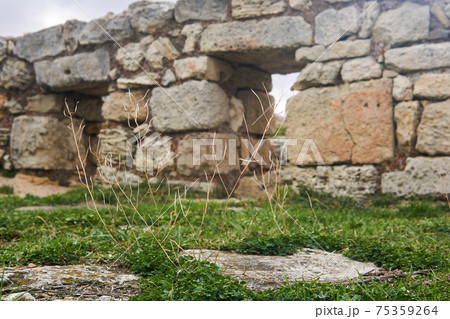 dry blades of grass against the background of blurry ancient ruins dry blades of grass against the background of blurry ancient ruins 75359264