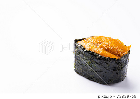 うに軍艦　白背景 75359759