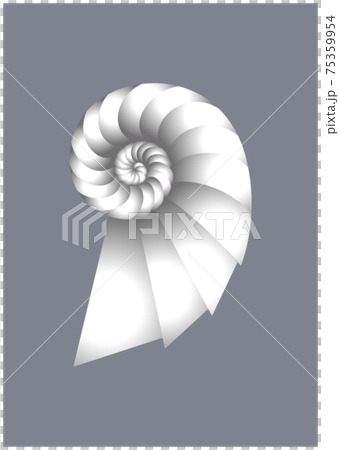 鸚鵡螺 鸚鵡螺 75359954