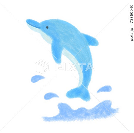 イルカの手描きイラストのイラスト素材