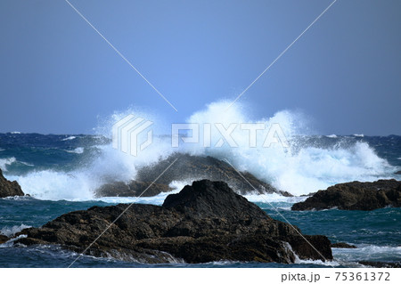 弾ける荒波 早春 (高知県 室戸岬) 弾ける荒波 早春 (高知県 室戸岬) 75361372