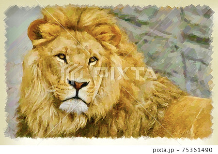 ライオンのイラスト風の画像のイラスト素材