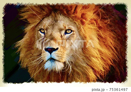 ライオンのイラスト風の画像のイラスト素材