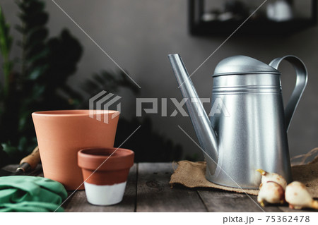 Ceramic pots on old gray wooden table, tulip bulbs, can, gloves, garden shovel Ceramic pots on old gray wooden table, tulip bulbs, can, gloves, garden shovel 75362478