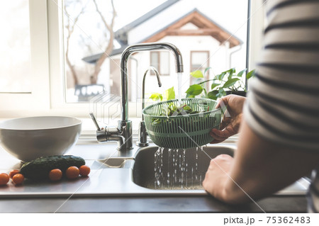 Woman washing green salad leaves for salad in kitchen in sink 75362483