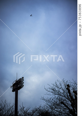 大阪府松原市 天美西公園の照明塔と冬の空を飛ぶ飛行機（アニメ風背景素材・コピースペース） 75363896