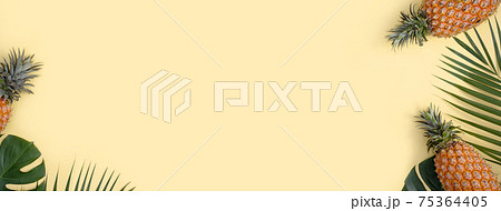 パイナップル パイン パインアップル 75364405