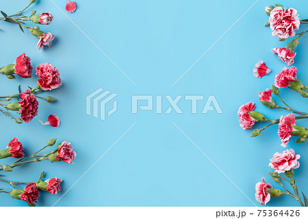 カーネーション ハマナデシコ 背景 75364426