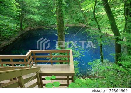 青池の見学デッキ 75364962