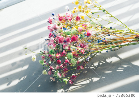 日陰にカラフルなカスミソウの花束の写真素材