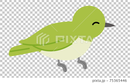 笑っているメジロのイラスト素材のイラスト素材