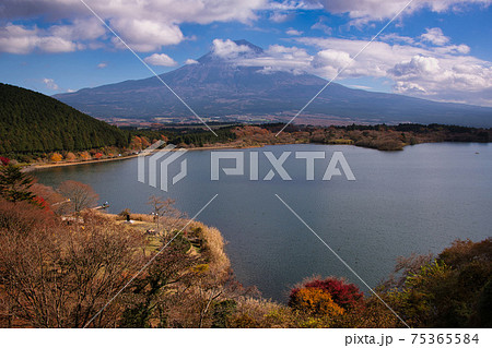 田貫湖からの絶景富士山2020年秋 75365584