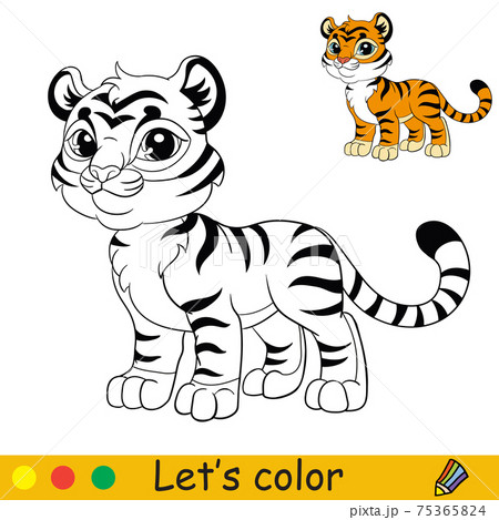 Cute standing tiger coloring with colorful template vector 75365824