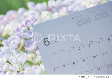 6月のカレンダー 紫陽花と6月のカレンダーの写真素材