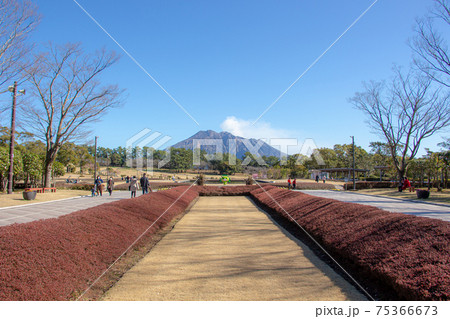 鹿児島県の吉野公園　 75366673