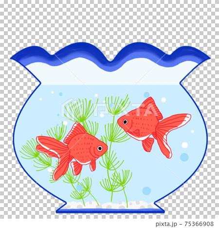 金魚鉢に金魚が泳いでいる夏イメージのイラスト 金魚鉢に金魚が泳いでいる夏イメージのイラスト 75366908