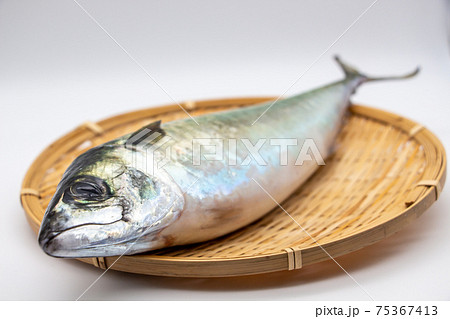 活き〆にされた養殖のさば　 75367413