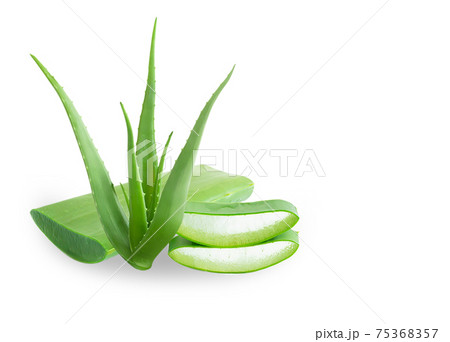 Set of aloe vera with slice isolated on white background, herb and medical Set of aloe vera with slice isolated on white background, herb and medical 75368357