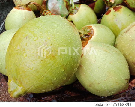 green coconut stock on shop for sell green coconut stock on shop for sell 75368893